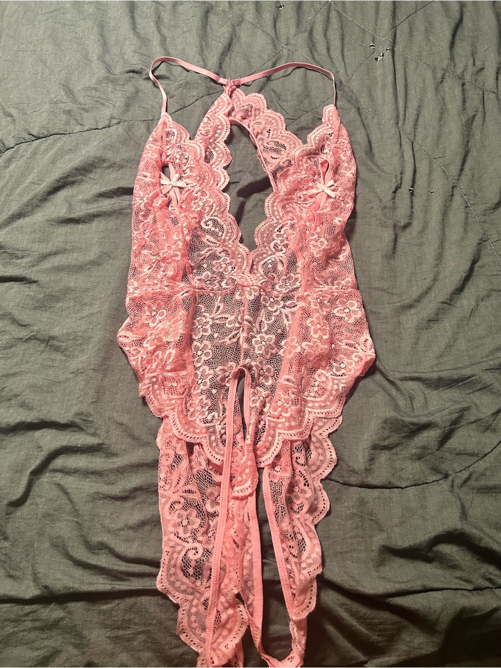 Pink Lace Sheer Teddy Lingerie
